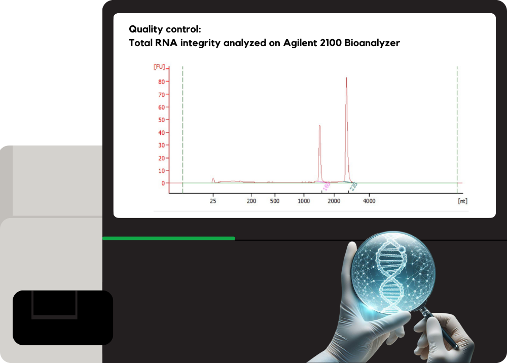 NGS Service Quality control